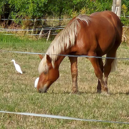 D'hotes Les Loges 3*