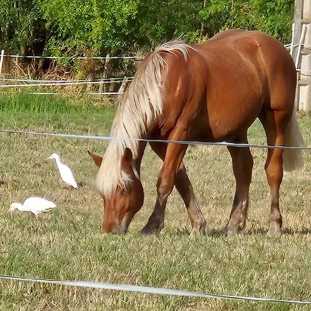 D'hotes Les Loges 3* Luçon