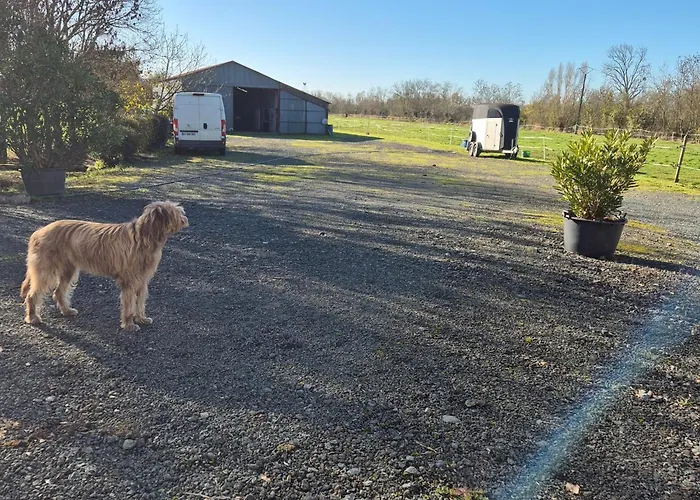 住宿加早餐酒店 D'hotes Les Loges 3*